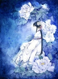 绮罗懿情