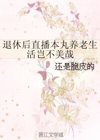 (综漫同人)退休后直播本丸养老生活岂不美哉
