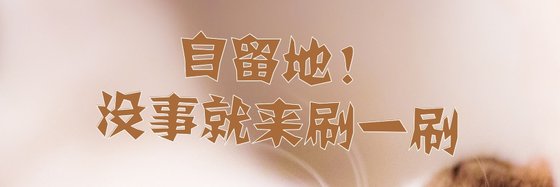 自留地！没事就来刷一刷