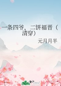一条四爷，二饼福晋（清穿）